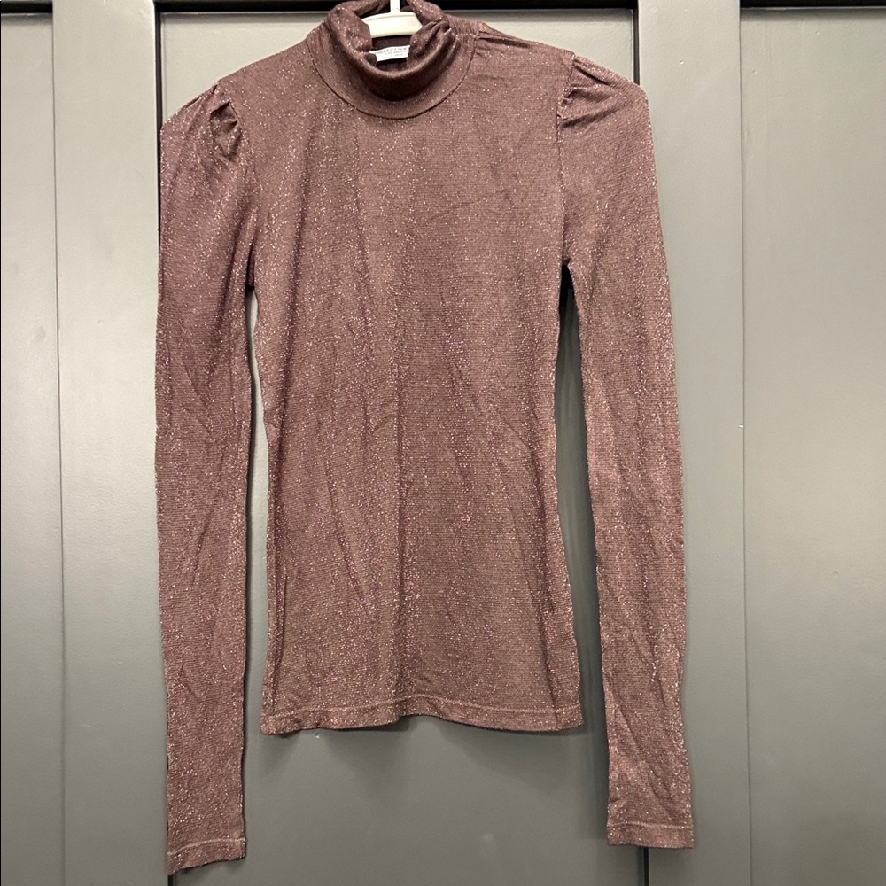 NWOT Shimmering Top